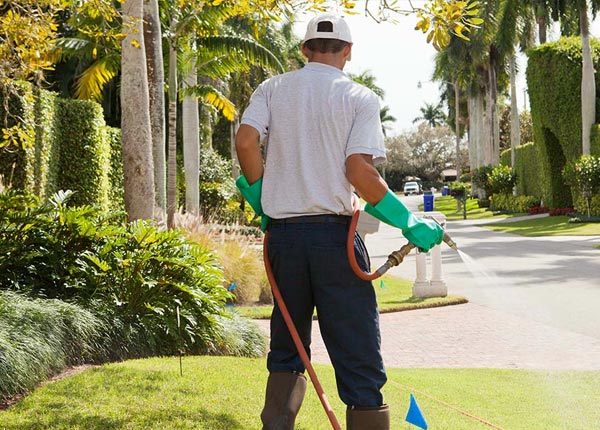 About Jacksonville GA Pest Control Pros